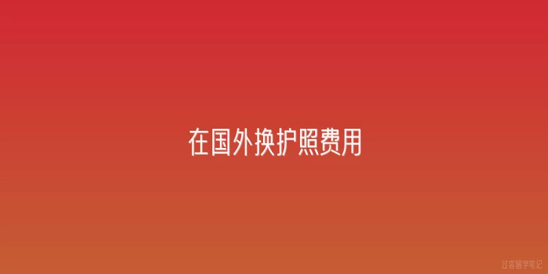 在国外换护照费用