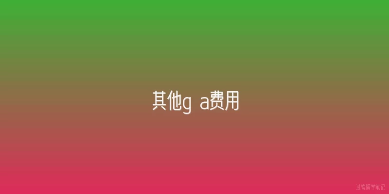 其他g a费用