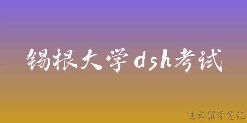 锡根大学dsh考试
