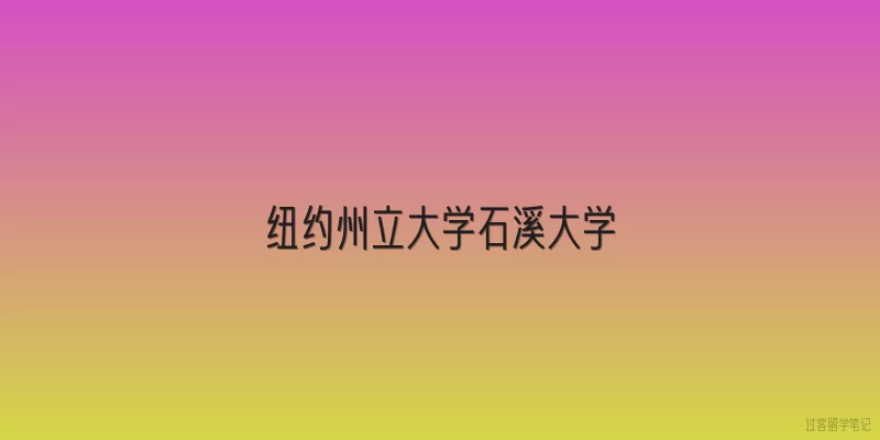 纽约州立大学石溪大学