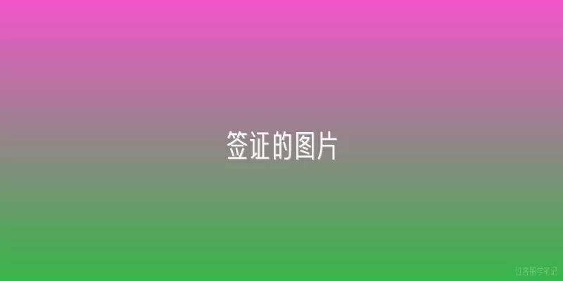 签证的图片