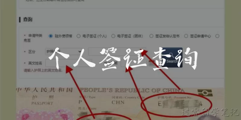 个人签证查询